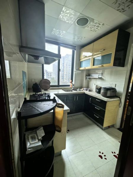 ������85��