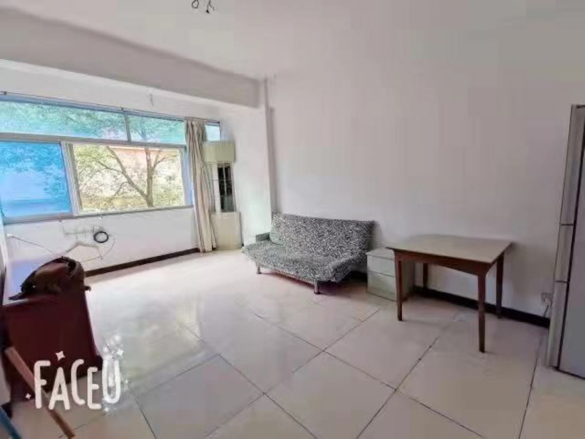 ̳