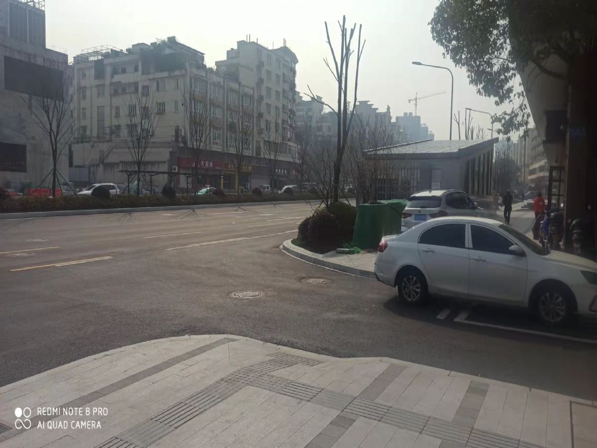 ��ɫ����