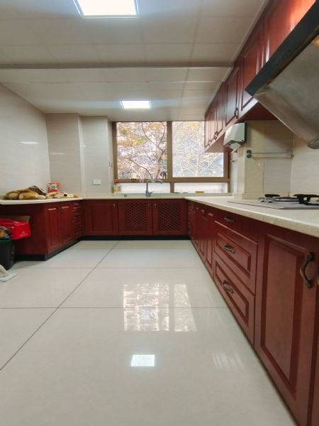 ŷ������