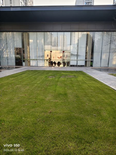 ��������һ��