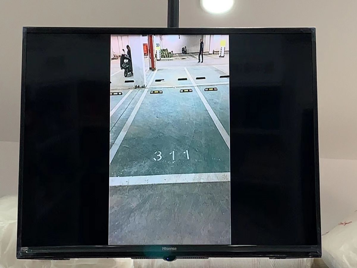 金都美地
