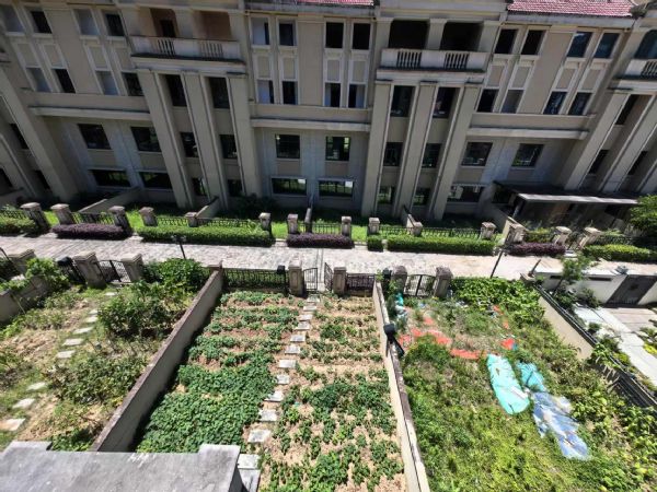 ����ɽ��