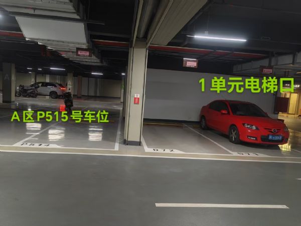 ���ƽ�͡